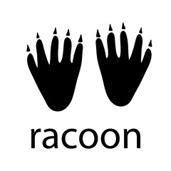 Racoon Paw Logo design vector illustration design template 