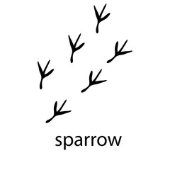 Sparrow Paw Logo design vector illustration design template 