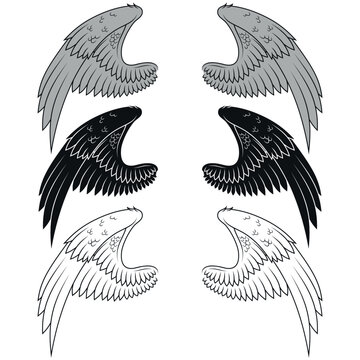 Angel wings vector design