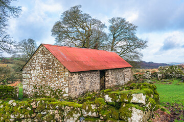 Obraz premium Panorama of Emsworthy Mire, Haytor Rocks, Dartmoor National Park, Devon, England, UK