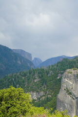 Fototapeta na wymiar Foggy day at the Yosemite National Park in California