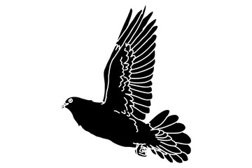 Silhouette of Flying Dove
