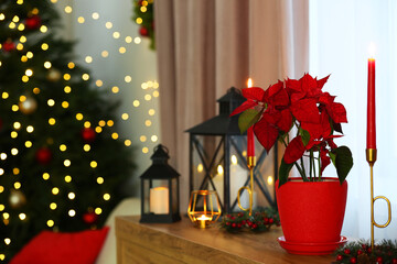 Potted poinsettia, burning candles and festive decor on dresser in room, space for text. Christmas...