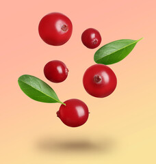 Delicious ripe cranberries and fresh leaves falling on color background