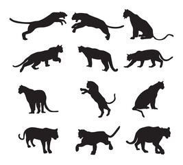 Set puma silhouette vector illustration. - obrazy, fototapety, plakaty