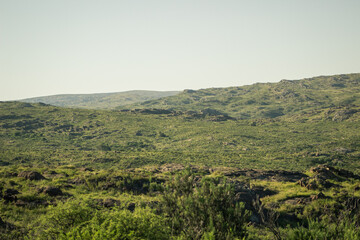 Naklejka premium mountain landscapes 