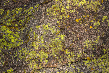 stones and rocks