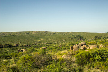 green mountain landscapes