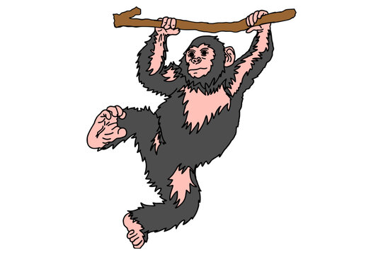 The Chimpanzee Is Hanging On The Wood