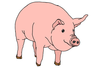 Pig Vector