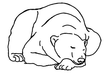 Polar Bear Sleeping