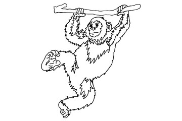 Chimpanzee hanging in a tree line art