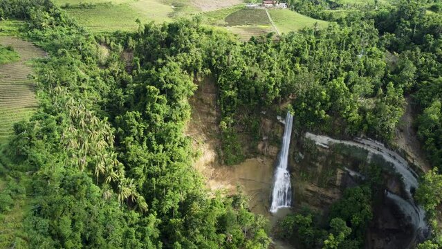 Superb views of nature in Cuba. Dense forest covers most of area, dividing area with stone gorge in middle. Mountain waterfall with deafening noise flows down and gathers in small muddy lake at foot.