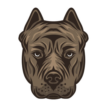 Bulldog head facing vector illustration