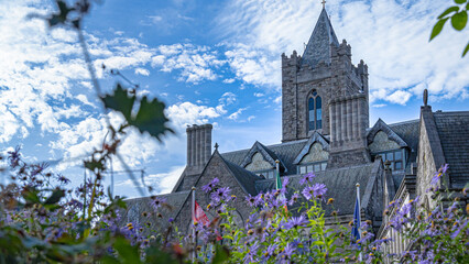 Christ Church Cathedral Dublin with flower