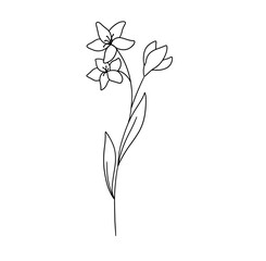 Hand drawn flower. Vector outline sketch. Line art doodle isolated on white background