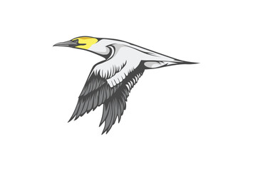 Seagull vector