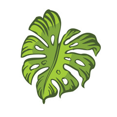 Tropical Leaf Vector Design Art