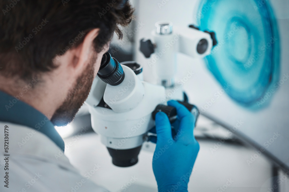Aufkleber Science, microscope and laboratory with a scientist checking research data from bacteria study. Chemistry lab, biotechnology and back of scientist working on chemical innovation and dna analytics