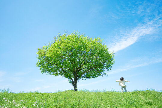 一本木のある草原に立つ子供　クリーンエネルギー・環境問題・エコロジー・地球温暖化イメージ