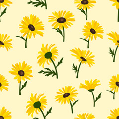 coneflower flowers illustration