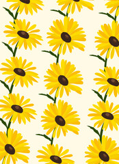 coneflower flowers illustration