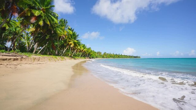 Sandy tropical beach and sea with coconut trees on a paradise island for travel and vacation. Picturesque view of the sea coast in the early spring morning. Travel and relaxation at sea. Cruise.