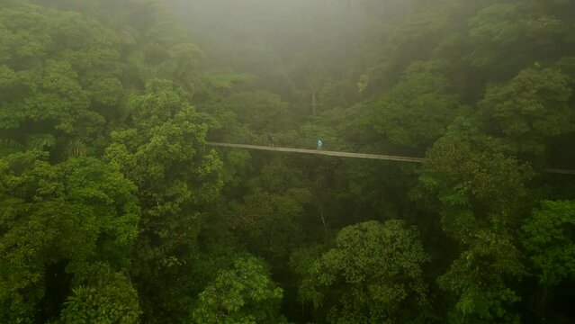 People walking on footbridge on tourist trail in tropical rain forest. Backwards fly above wild nature on misty day. La Fortuna, Costa Rica