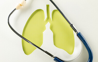 World Tuberculosis Day. Overhead lungs green paper symbol and medical stethoscope on white background, lung cancer awareness, copy space concept of world TB day, banner background, pneumonia awareness