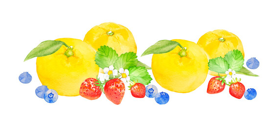 グレープフルーツとベリーのフルーツ水彩イラスト　白背景の手描きイラスト