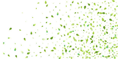 Leaves Green Falling Flying Foliage Leaf Tea Mint