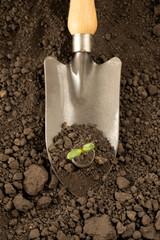 Concept, business and success in finance. The economic growth of finance. Money work investment concept