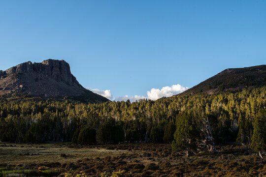 The Valley - Walls Of Jerusalem National Park (alt)