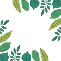 新緑の瑞々しい青葉の手描きフレーム背景