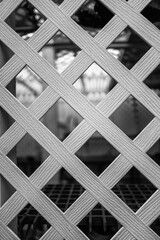 Profile View of a Vintage Painted Wooden Lattice.