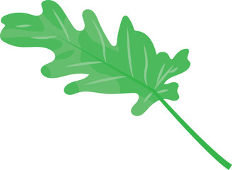 Leaf vector image or clip art.