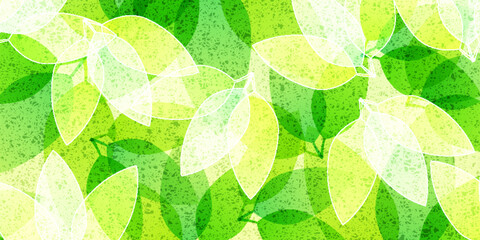 新緑　葉　風景　背景	