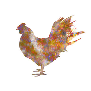 Watercolor chicken drawing, silhouette of a rooster, Watercolor hen art, chicken, Png, Transparent, poultry