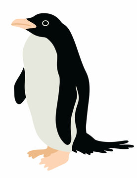 penguin cartoon vector illustration isolated on white