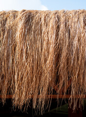 Dry hay on the roof of the house.
