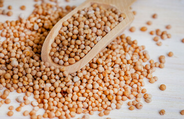 Yellow mustard seeds close up with selective focus