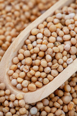 Yellow mustard seeds close up with selective focus