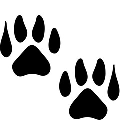 Animal Foot