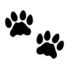 Animal Foot Track
