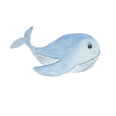 Watercolor work of a whale on a white background. You can use on T -shirts, stickers, cards, napkins, various compositions of marine themes.