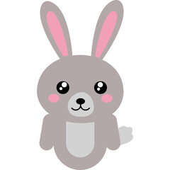 Animal Illustration