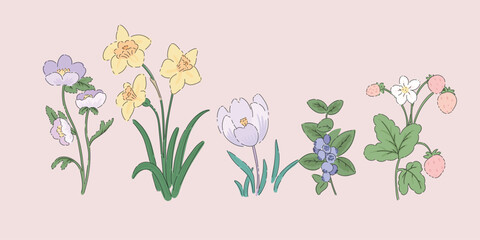 minimal Hand drawn flowers and leaf with sketch line vector in Spring and summer collection