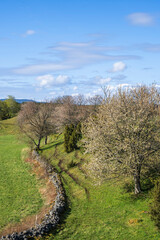 Winding stone wall at a meadow in springtime