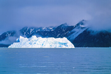 Iceberg on the coast of Svalbard