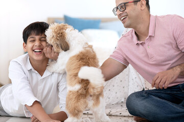 Boy and his Indian father playing his Shih Tzu puppy at home, excited dog licking the owner,...